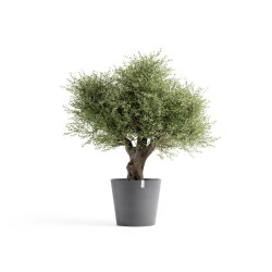 Pot Amsterdam 70  Grey - ECOPOTS