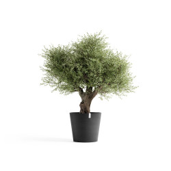 Pot Amsterdam 70 Dark  Grey - ECOPOTS