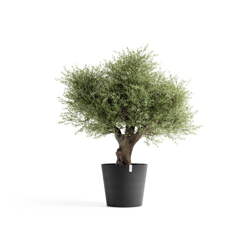 Pot Amsterdam 70 Dark  Grey - ECOPOTS