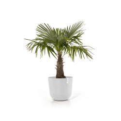 Pot Oslo 55 Pure White - ECOPOTS