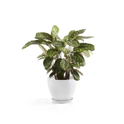 Pot Antwerp 30 Pure White - ECOPOTS