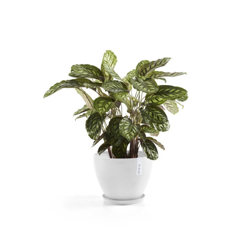 Pot Antwerp 30 Pure White - ECOPOTS