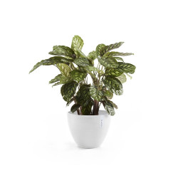 Pot Antwerp 40 Pure White - ECOPOTS