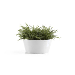 Pot Frankfurt 30 Pure White - ECOPOTS