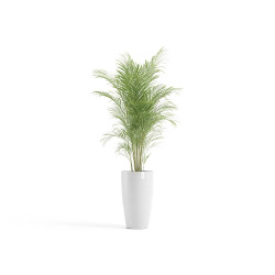 Pot Stockholm High 60 Pure White - ECOPOTS