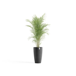 Pot Stockholm High 60 Dark Grey - ECOPOTS