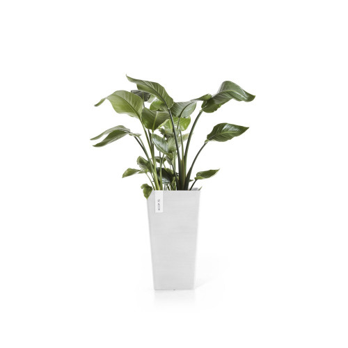 Pot Rotterdam Mid High 56 Pure White - ECOPOTS