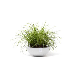 Pot Vienna 50 Pure White - ECOPOTS