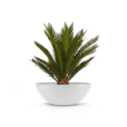 Pot Vienna 70 Pure White - ECOPOTS