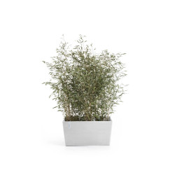 Pot Paris 60 Pure White - ECOPOTS