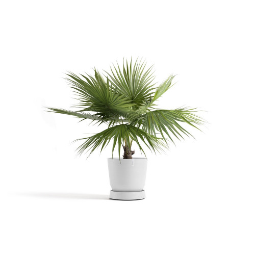 Soucoupe à roulette 60 Pure White - ECOPOTS