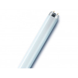 Tube Fluorescent T8/G13 18W - 1300Lm - 6500K de marque OSRAM, référence: B8415800