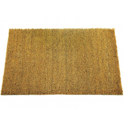 Tapis grattant en coco naturel uni 33 x 60 cm de marque Sans marque, référence: B8422100