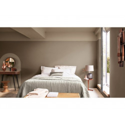 Peinture mur, boiserie crème de couleur DULUX VALENTINE marron glacé satiné 0.5L - DULUX VALENTINE