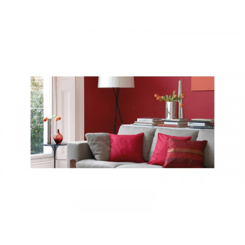 Peinture mur, boiserie crème de couleur DULUX VALENTINE rouge madras satiné 0.5L - DULUX VALENTINE