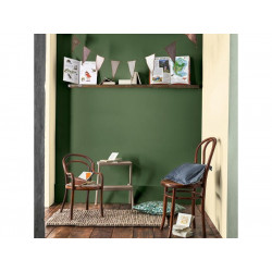 Peinture mur, Creme de couleur DULUX VALENTINE vert tropical satine 2.5 l - DULUX VALENTINE