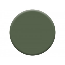 Peinture mur boiserie mat, DULUX VALENTINE Crème de couleur, vert tropical, 2.5 litres - DULUX VALENTINE