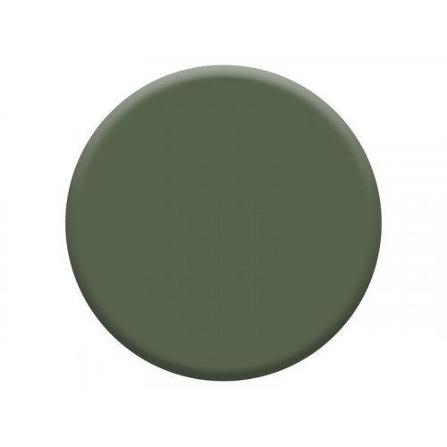 Peinture mur boiserie mat, DULUX VALENTINE Crème de couleur, vert tropical, 2.5 litres - DULUX VALENTINE