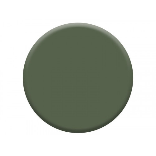 Peinture boiserie vert tropical mat DULUX VALENTINE Valenite 0.5l - DULUX VALENTINE