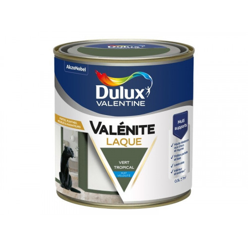 Peinture boiserie vert tropical mat DULUX VALENTINE Valenite 0.5l - DULUX VALENTINE