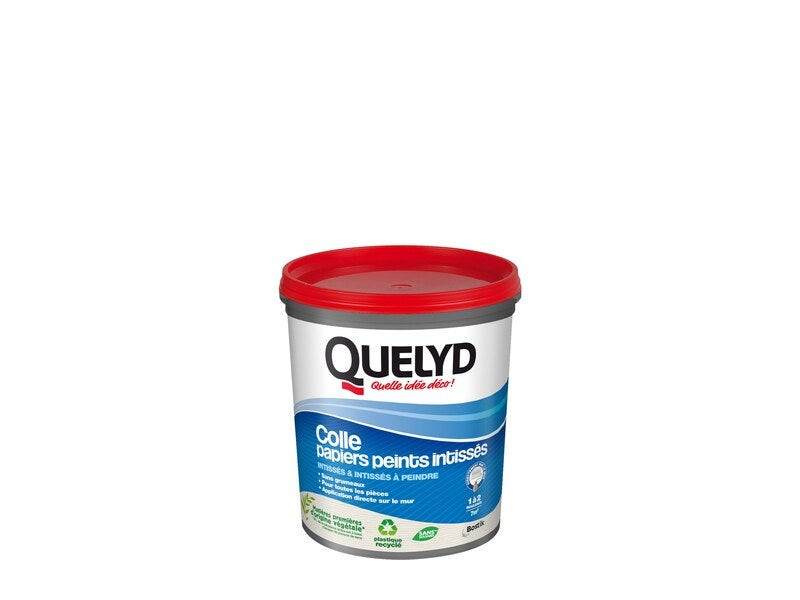 Colle Pate papier peint intisse QUELYD, 1 kg