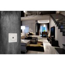 Plaque double Odace Touch, SCHNEIDER ELECTRIC, blanc - SCHNEIDER ELECTRIC