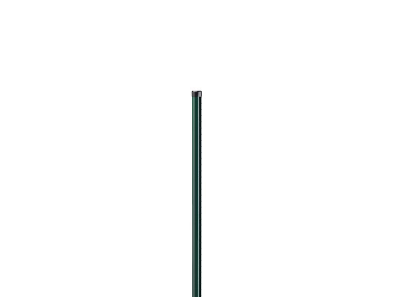 Dirickx Verte/Vert