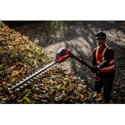 Taille-haies/élagueuse perche GP-HC 18/5020 Li T BL-Solo - 18V - OREGON 18cm - télescopique - sans batterie/chargeur - EINHELL