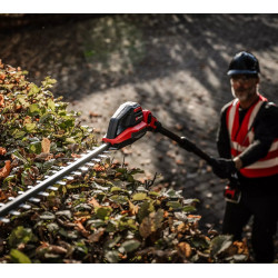 Taille-haie télescopique GP-HH 18/50 Li T BL-Solo - 18V - brushless - lames 50cm - tête inclinable - sans batterie/chargeur - EINHELL