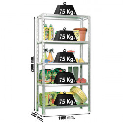 Étagère métallique avec vis – ADVANTAGE PLUS 5 galvanisé – 5 niveaux – 75 kg par étagère – 2000x1000x300 mm - Simonrack
