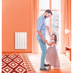 Radiateur électrique vertical à inertie sèche – Caraïbes gris - 1000 W - 10 m² - UNIV'R CHAUFFAGE