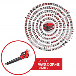 Souffleur de feuilles sans fil – GP-LB 36/230 Li E BL-Solo – 36 V – 230 km/h – Débit 890 m³/h – Tube ajustable - EINHELL