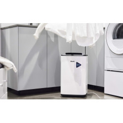 Déshumidificateur d'air WOOD'S Mdx20p, 20 l/jour - WOOD'S