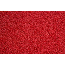 Tapis Queyras Rouge 40X60X0,5Cm - ID MAT