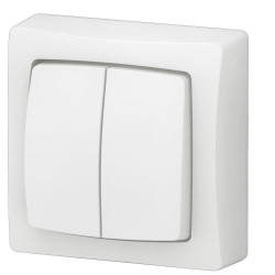Double interrupteur va-et-vient saillie complet, LEGRAND Asl, blanc - LEGRAND