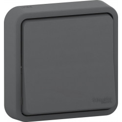 Interrupteur va-et-vient étanche encastré complet Mureva Styl, SCHNEIDER ELECTRIC, anthracite de marque SCHNEIDER ELECTRIC, référence: B9130600