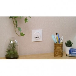 Prise chargeur double usb A+C 12W à assembler Odace, SCHNEIDER ELECTRIC, blanc - SCHNEIDER ELECTRIC