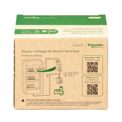 Kit voiture électrique Protection + Prise renforcée étanche Mureva Styl, SCHNEIDER ELECTRIC, anthracite - SCHNEIDER ELECTRIC