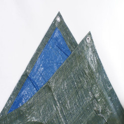 Bâche avec oeillets de protection, L.3 m x l.200 cm 890050 - Sans marque
