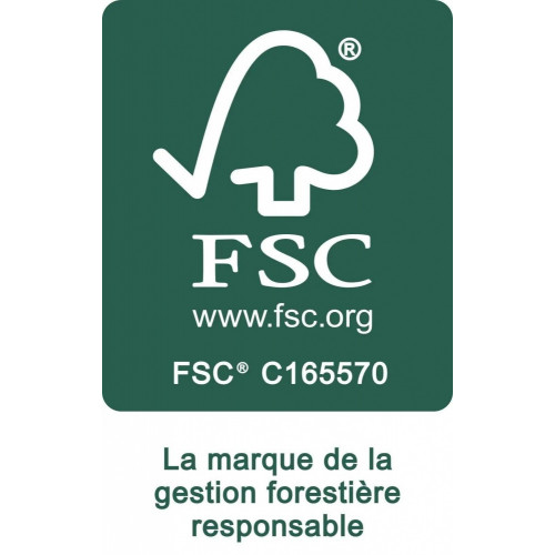 Tête à balai extérieur en bois fsc 100 % Piassava Naturel BIGBROSS - Sans marque