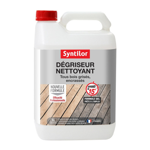 Dégriseur SYNTILOR Nettoyant 5 l, incolore - SYNTILOR