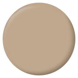 Testeur peinture intérieur mur/boiserie/radiateur satiné, RIPOLIN, beige plage, 75 ml - RIPOLIN
