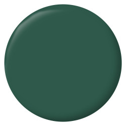 Testeur peinture intérieur mur/boiserie/radiateur satiné, RIPOLIN, vert cardo, 75 ml - RIPOLIN