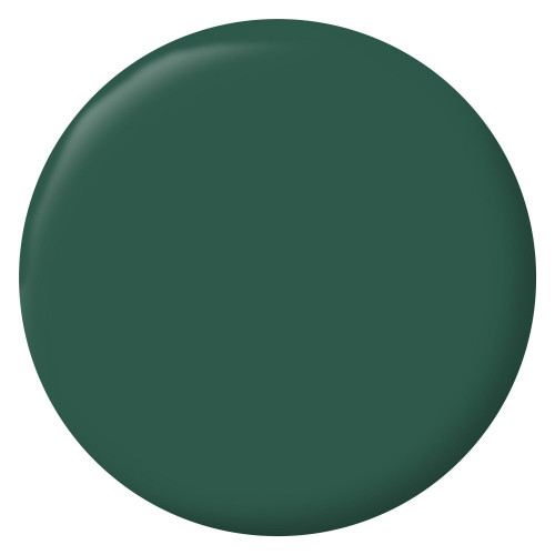 Testeur peinture intérieur mur/boiserie/radiateur satiné, RIPOLIN, vert cardo, 75 ml - RIPOLIN