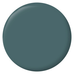 Testeur peinture intérieur mur/boiserie/radiateur satiné, RIPOLIN, vert hosta, 75 ml - RIPOLIN
