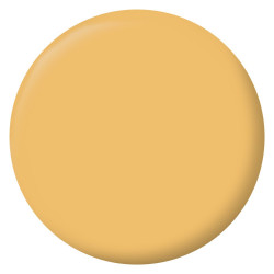 Testeur peinture jaune niki mat Interieur RIPOLIN 75 ml - RIPOLIN