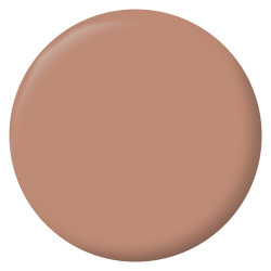 Testeur peinture ocre wadi velours Interieur RIPOLIN 75 ml - RIPOLIN