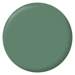 Testeur peinture vert comic mat Interieur RIPOLIN 75 ml - RIPOLIN
