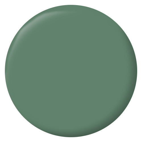 Testeur peinture vert comic mat Interieur RIPOLIN 75 ml - RIPOLIN