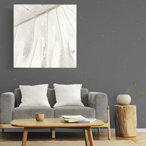 Peinture a effet, A014734 ID, cesar, paillete, 2 l - ID